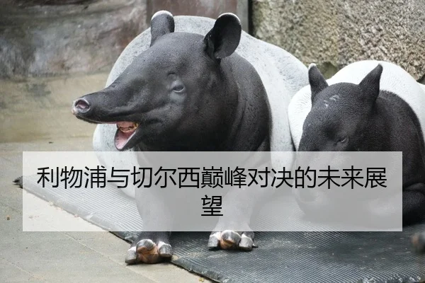 利物浦与切尔西巅峰对决的未来展望